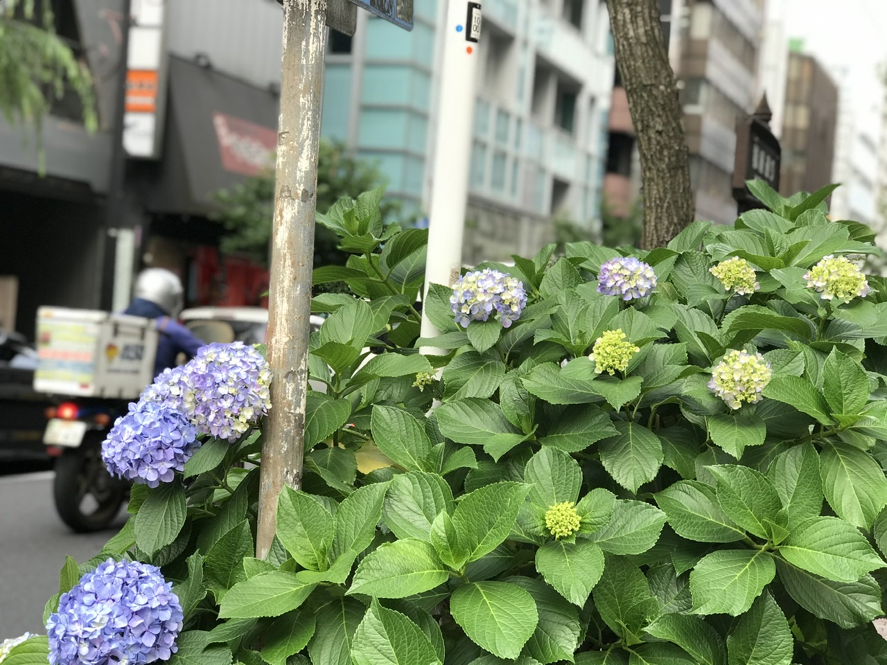 東京の展示会は無事に終了いたしました 佐藤織物株式会社